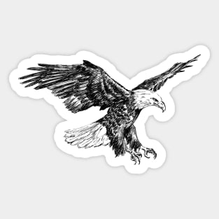 Bald eagle sketch Sticker